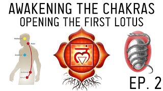 How to Awaken the Chakras: Activate the Muladhara Root Chakra (Ep. 2)