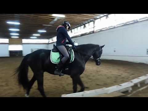 Training 31. 03. 2018