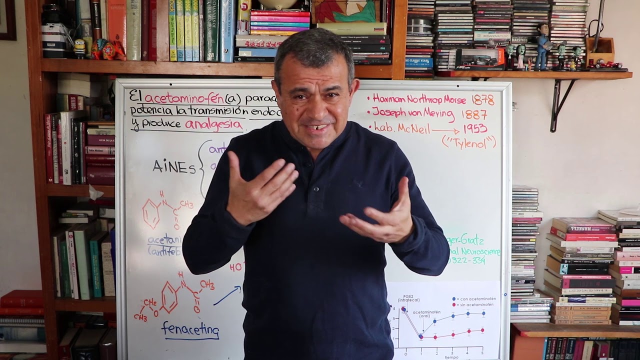 Acetaminofén, endocannabinoides y analgesia