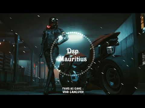 Favelas Gang - VRAI GANGSTER (#dsp_effect)