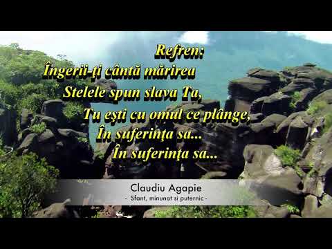 Sfant, minunat si puternic - Claudiu Agapie