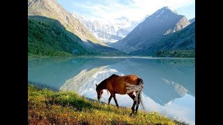 Озеро манжерокское рыбалка