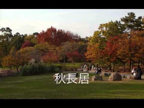 Cipriano de Rore／Madrigale:Musica dulci sono・・・