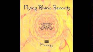 PROCESS-INTERNAL HORIZON
