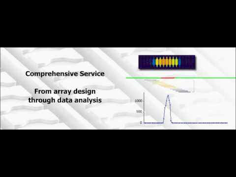 Small RNA Discovery & Analysis - Microarray Service