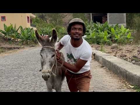 Flou Vares - Burro (video oficial)