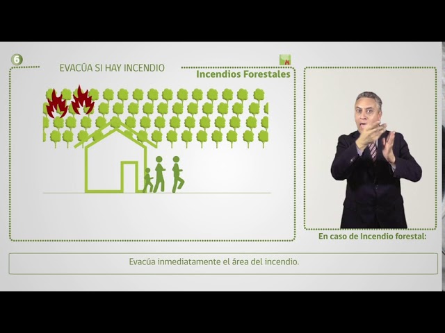 youtube video id=yAmZayQXdDk