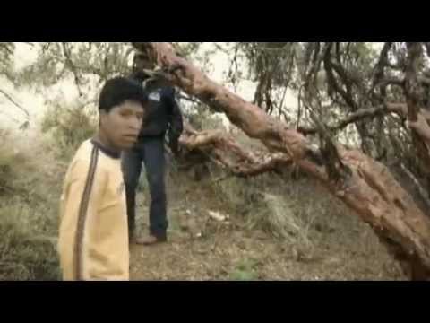 Juliaca 2011 Sensin Yar (Remix) - Dj Erick