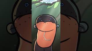 Electric Eel ⚡🐟 #animation #original #cartoon