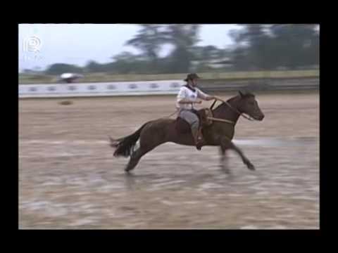 Norte RS – 5° lugar fêmeas – Jade da Bela Aliança