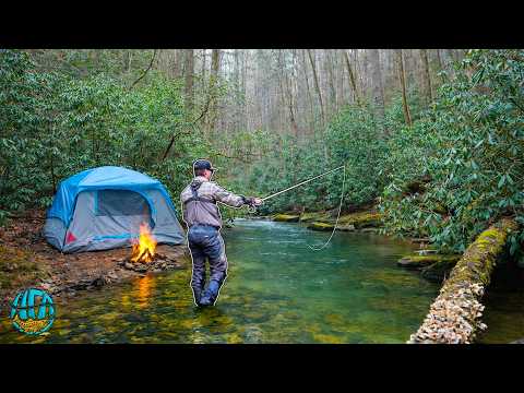 Trout Fishing and Solo Camping In Georgia: The Catch of a Lifetime