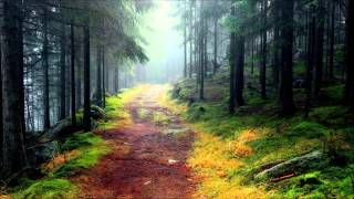 Download lagu March - Joe Hisaishi 久石 譲 mp3 Download lagu March - Joe Hisaishi 久石 譲 mp3