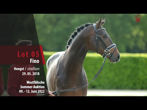 Sommer-Auktion Lot 05 Fino Hengst v. For Final - Arpeggio