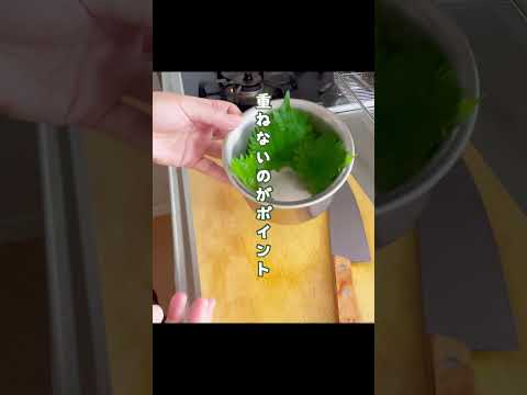 冷蔵庫で２週間経った大葉　#料理 #薬味 #保存方法