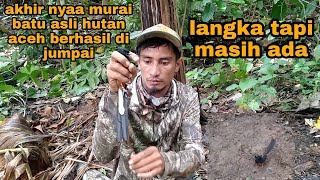 Download lagu Berhasil ditemukan_keberada'an murai batu asli hutan aceh mp3 Download lagu Berhasil ditemukan_keberada'an murai batu asli hutan aceh mp3