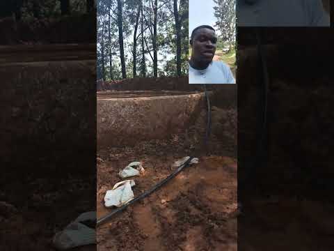 How a leaching site looks