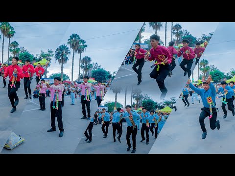 Negritos de Ica at the 2025 Grape Harvest Festival - Detludi