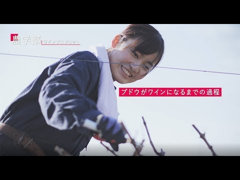 名城大学　ワイン作りを通じて感じたモノ