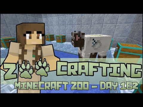 Birds on Ice!! 🐘 Zoo Crafting: Season 2 - Episode #162
