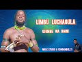 LIMBU LUCHAGULA UJUMBE WA NGINI NO2 OFFICIAL AUDIO