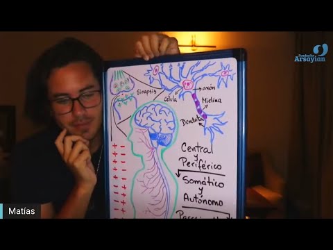 Day 300 Edición en Español - NERVIOSO - Spanish edit- Matias De Stefano