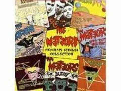 The Meteors - Somebody put something in my drink