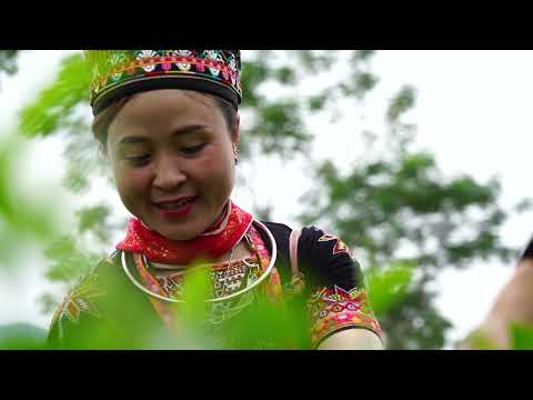 Tuyên Quang - Khát vọng nơi trái tim Việt Bắc