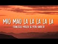 Francesco Misseri & Piero Barbetti - Mio Mao la la la la la (sped up/Lyrics) [TikTok Song]