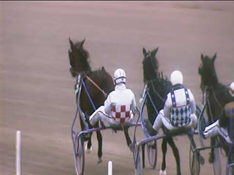 Trotto 18/11/2018 - 1ª corsa