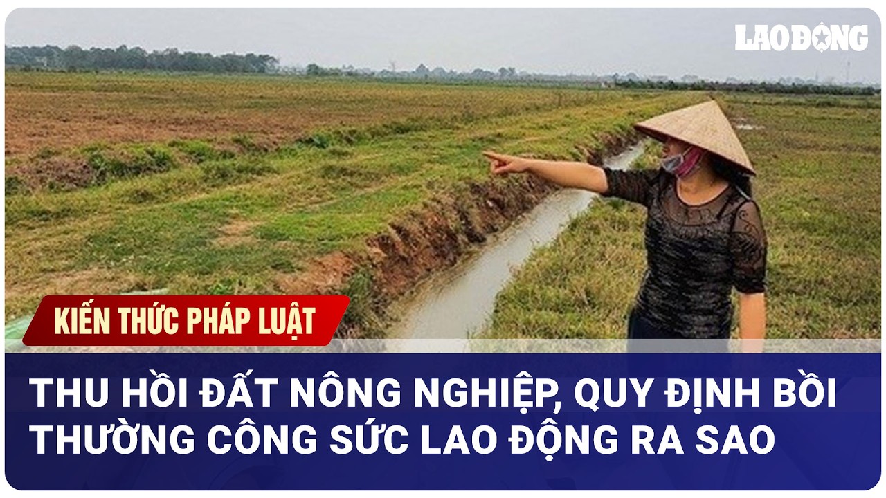 Thu hồi đất nông nghiệp, quy định bồi thường công sức lao động ra sao?