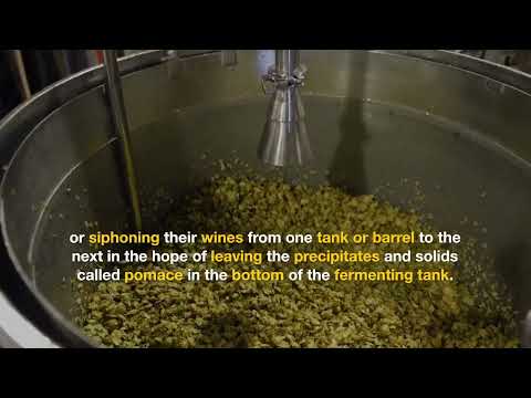 Videos from Chastity Valdes