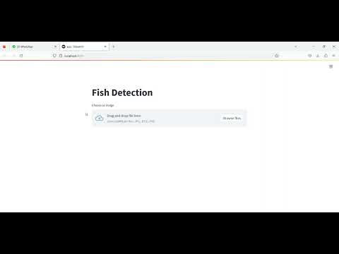 Fish Detection Train CNN Streamlit App in Python Projects
