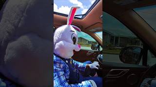 🐰 Easter In Miami 🥚 Happy Easter  #easter #miami #charity