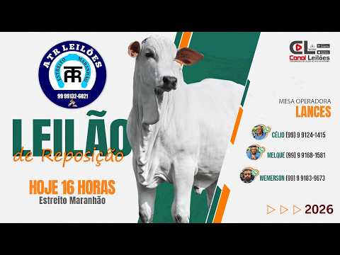 LEILÃO DE REPOSIÇÃO ATR LEILÕES | ESTREITO-MA 11/09/2026