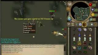 Runescape Infernal Urn And Ashes Guide