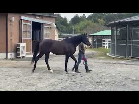 {{itemName}}_video_thumbnail