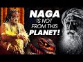 Snakes Are Not From This Planet! | Naga | Mystical Powers | Serpents |  Sadhguru | Adiyogi
