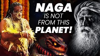 Snakes Are Not From This Planet! | Naga | Mystical Powers | Serpents |  Sadhguru | Adiyogi