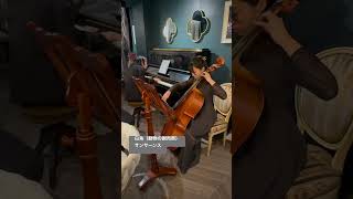 Download lagu 🎻しなやかな白鳥を奏でる若きチェリスト🕊✨【サン=サーンス／白鳥 The Swan】 #紹介制ワインバー名古屋駅 #チェロ mp3