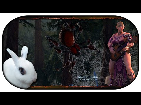 NEVERWINTER: Mit Sang und Klang durch Faerun 🎸 33 - Angst ist unlogisch