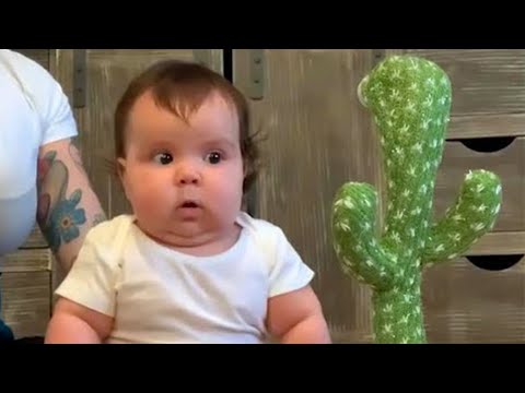 Funniest Baby Videos of the Week - Try Not To Laugh