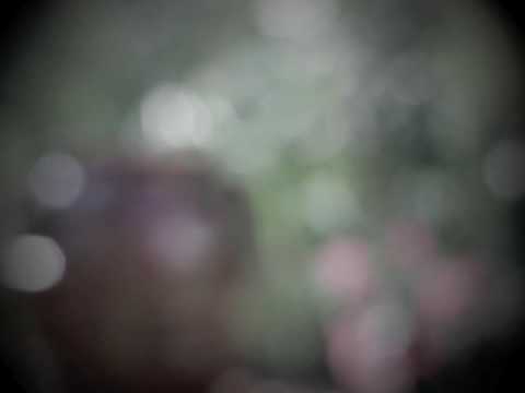 download lagu mp3 mp4 Circle And Bloom Free, download lagu Circle And Bloom Free gratis, unduh video klip Circle And Bloom Free