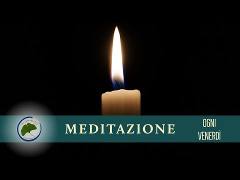 Meditazione al Ginkgo - 3 maggio 2024