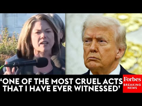 'Heartless President': Angie Craig Goes On Fiery Tirade Against Trump Over SNAP Benefits Lapsing
