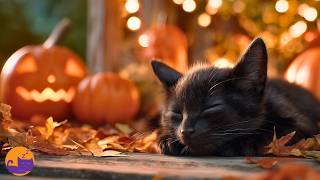 Halloween Noise Anxiety Relief 🎃 Calming Lullabies for Deep Sleep 🐈‍⬛