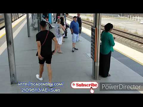 Campbelltown to Lidcombe Train Station | Travel Guide | VLog | Adventure Experience