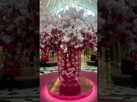 ￼ Kung hei fat Choi (#HApPyChineseNewyear) loTs of L♥️Ve  #OuTandAbouTwiThCassiopeia👣✨🎯