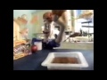 Lunchables Waffles Pancakes Breakfast Machine 1999