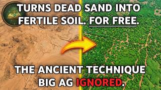 Grows Food in Dead Soil. The "Primitive" Trick That Beat Modern Science.