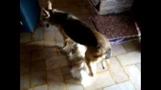 MINHA MENTORA ESPIRITUAL PARTIU PARA o NIRVANA -- DIA 19/01/2014. RIO. BRASIL.